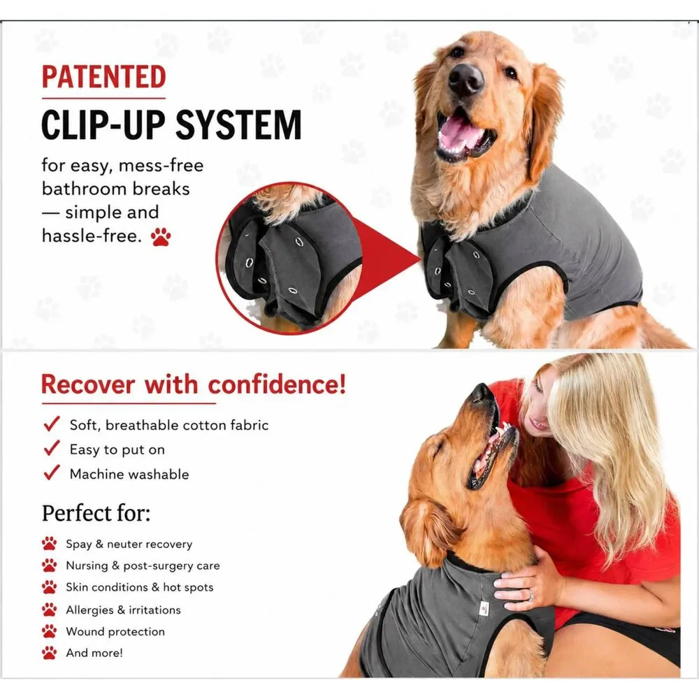 BellyGuard dog surgical